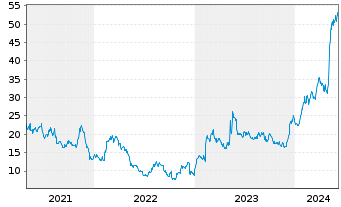 Chart Blue Bird Corp. - 5 Years