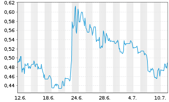 Chart Power Nickel Inc. - 1 Monat