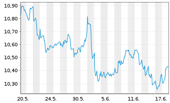 Chart Amu.S&P Gl ENE.CAR.RED.ETF - 1 Monat