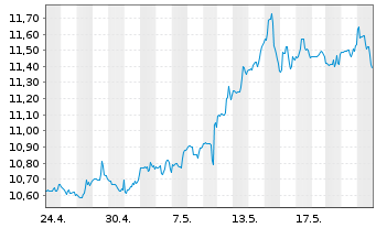 Chart Cion Investment Corp. - 1 Monat