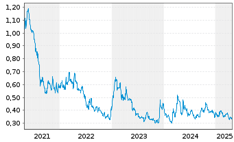 Chart Fury Gold Mines Ltd. - 5 années