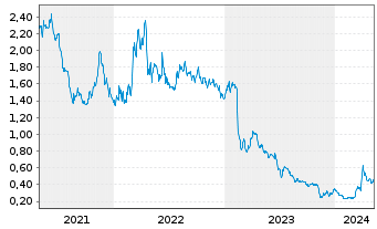 Chart Gold Resource Corp. - 5 Jahre