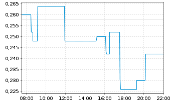 Chart American Critical Min. Corp. - Intraday
