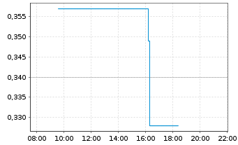 Chart Fury Gold Mines Ltd. - Intraday