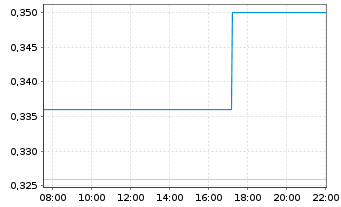 Chart New Earth Resources Corp. - Intraday