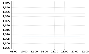 Chart CS EUROREAL - Intraday