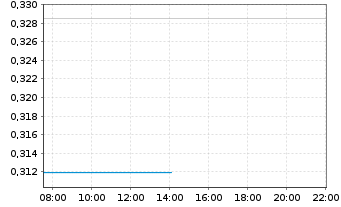 Chart Mini Future Short Palantir - Intraday