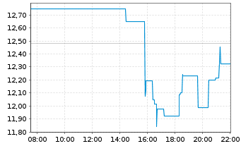 Chart Webull Corp. - Intraday