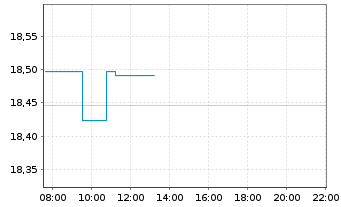 Chart BNPPE-MSCI USA SRI S-Ser.5%C. - Intraday