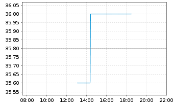 Chart Sturm Ruger Co. Inc. - Intraday