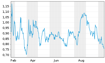 Chart NetraMark Holdings Inc. - 1 Year