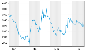 Chart Mini Future Short Visa - 1 Year
