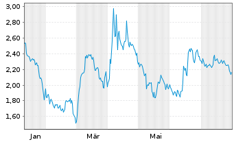 Chart Mini Future Short Visa - 1 Year
