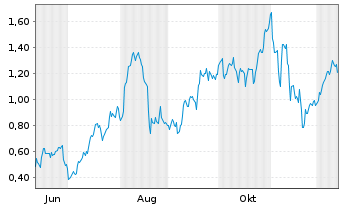 Chart Mini Future Long Palantir - 1 Jahr