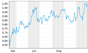 Chart Mini Future Long Shell - 1 Year