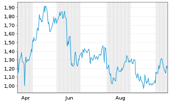 Chart Mini Future Long Visa - 1 Jahr