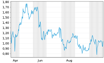 Chart Mini Future Long Visa - 1 Year
