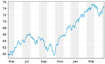 Chart Xtr.(IE) - S&P 500 - 1 Year