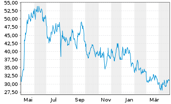 Chart Blue Bird Corp. - 1 Year