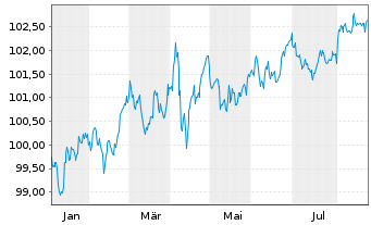 Chart Duke Energy Carolinas LLC DL-Bonds 2025(25/30) - 1 Jahr