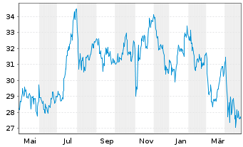 Chart Radian Group Inc. - 1 Year