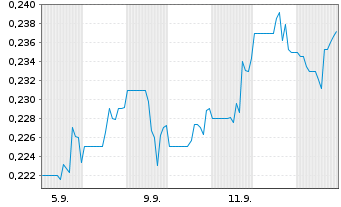 Chart Canadian Gold Corp. - 1 Monat