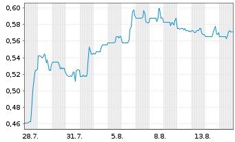 Chart Cerrado Gold Inc. - 1 Monat