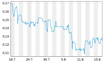 Chart Integrated Cyber Solut. Inc.  - 1 Monat