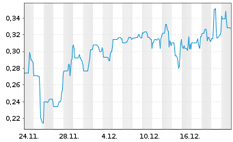 Chart New Earth Resources Corp. - 1 Month