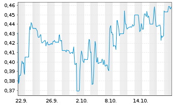 Chart Rocket Doctor AI Inc. - 1 Month
