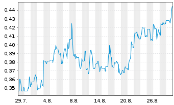 Chart Silver Tiger Metals Inc. Registered Shares o.N. - 1 Monat