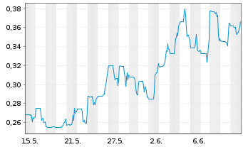 Chart Sranan Gold Corp. - 1 mois