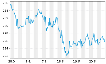Chart Pioneer Investm. German Equity - 1 Monat