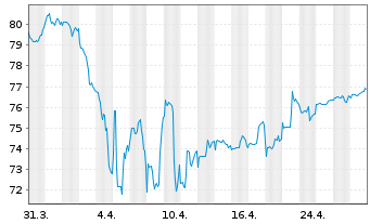 Chart TOP-Investors Global Inhaber-Anteile - 1 Month