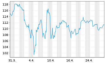 Chart Effecten-Spiegel Aktien-Fonds Inhaber-Anteile - 1 Month