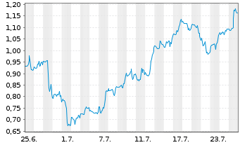 Chart Mini Future Long Palantir - 1 Monat