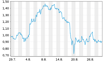 Chart Mini Future Long Palantir - 1 Month