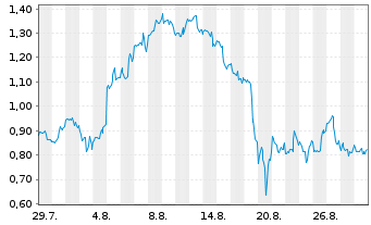 Chart Mini Future Long Palantir - 1 Month