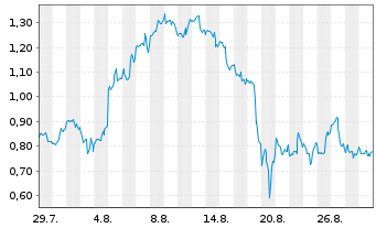 Chart Mini Future Long Palantir - 1 Month