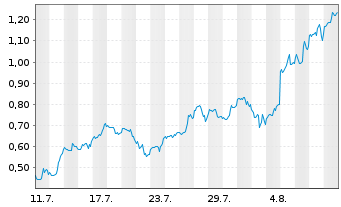 Chart Mini Future Long Palantir - 1 Monat