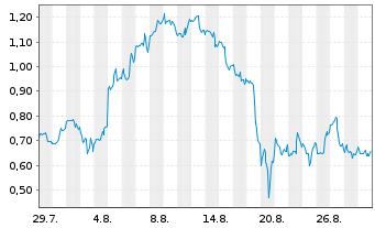 Chart Mini Future Long Palantir - 1 Month
