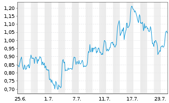 Chart Mini Future Long Microsoft - 1 Monat