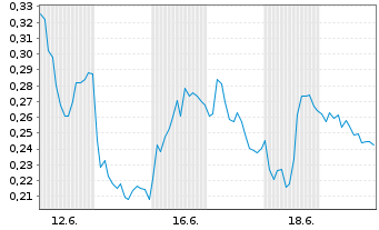Chart Mini Future Long Puma - 1 Monat
