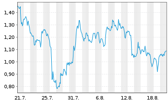 Chart Mini Future Short Nike - 1 Monat