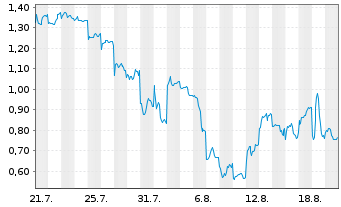 Chart Mini Future Long Xiaomi - 1 Monat