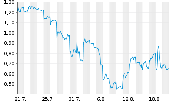 Chart Mini Future Long Xiaomi - 1 Monat