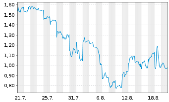 Chart Mini Future Long Xiaomi - 1 Monat