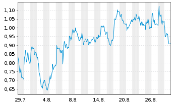 Chart Mini Future Long Porsche - 1 Month