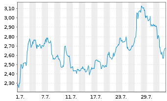 Chart Mini Future Long Nike - 1 Monat