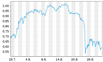 Chart Mini Future Short Puma - 1 Month